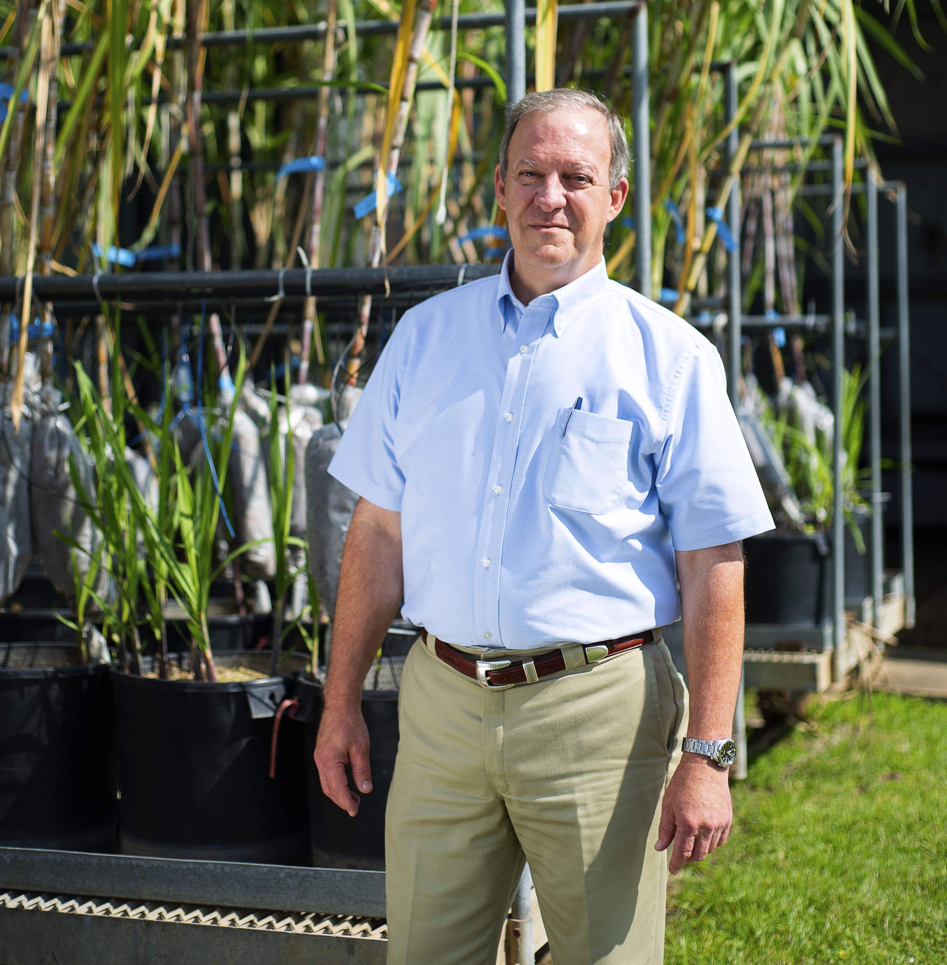 LSU AgCenter research stations support Louisiana’s diverse agricultural industry